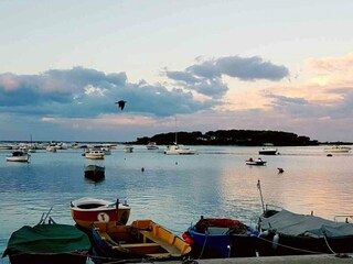 Ferienhaus Porto Cesareo Umgebung 15