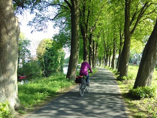 Mit dem Fahrrad die Umgebung erkunden