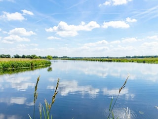 Blick auf den schönen Vechtesee