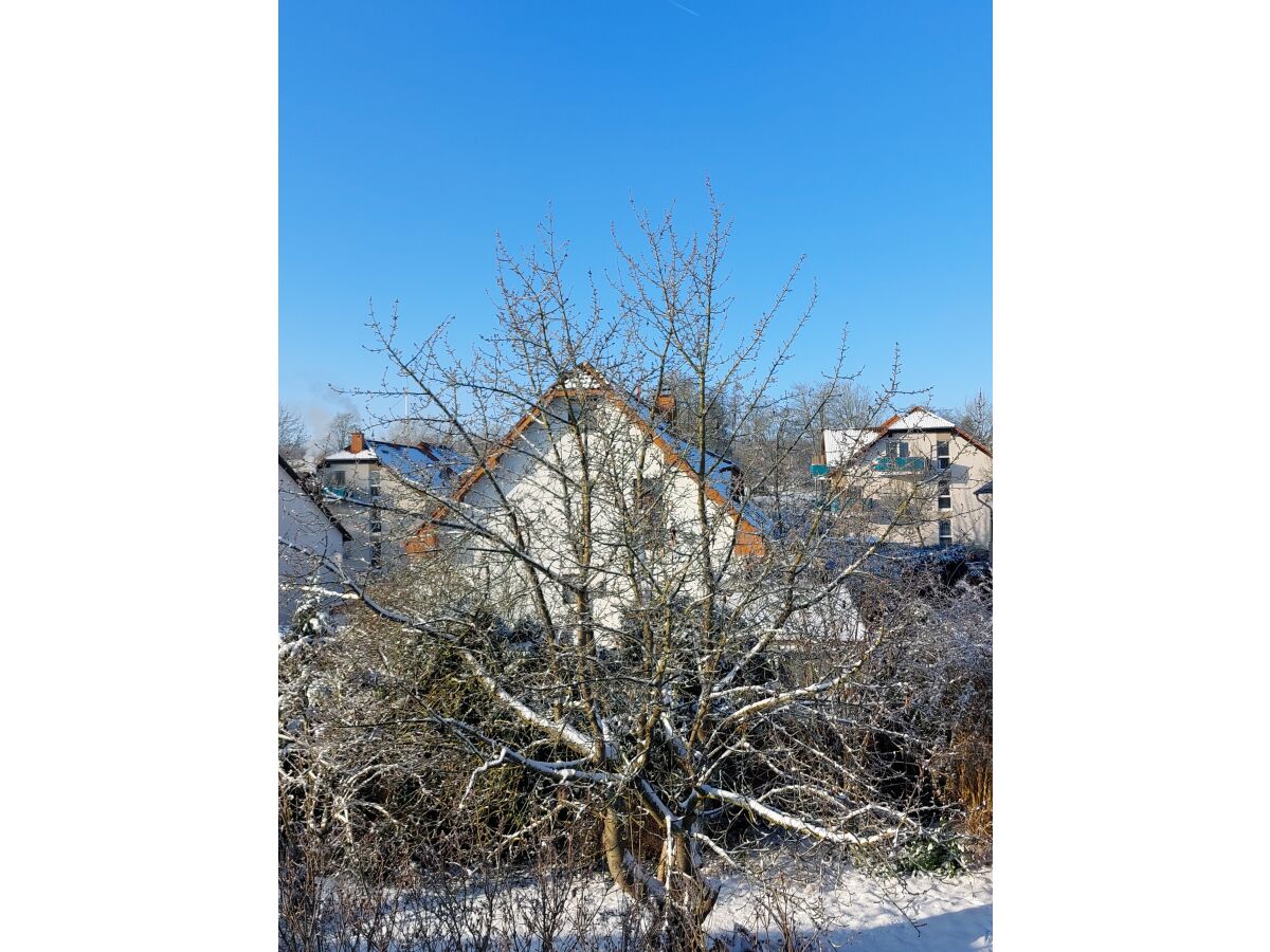 Blick in den Garten im Winter