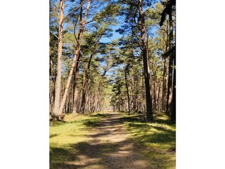 Holiday house Dziwnowek Environment 24