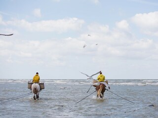 Maison de vacances Koksijde Environnement 27