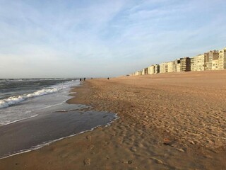 Vakantiehuis Koksijde Omgeving 31