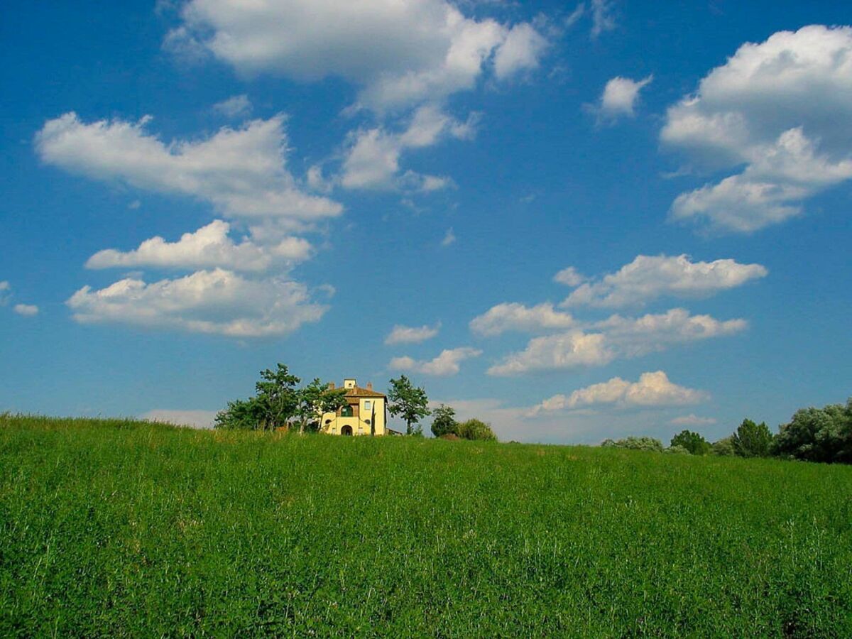 Ferienhaus Chiusi Außenaufnahme 7