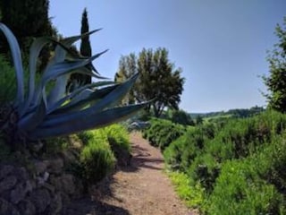 Maison de vacances Chiusi Environnement 28