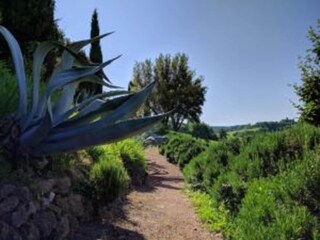 Vakantiehuis Chiusi Omgeving 29