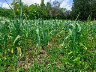 Casa per le vacanze Chiusi Ambiente 35