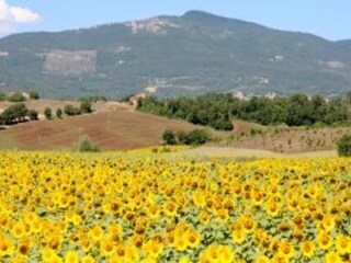 Vakantiehuis Chiusi Omgeving 27