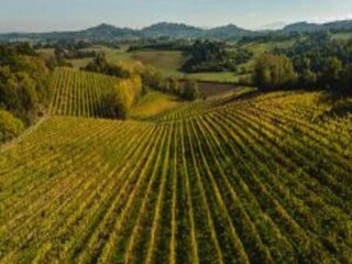 Vakantiehuis Chiusi Omgeving 36