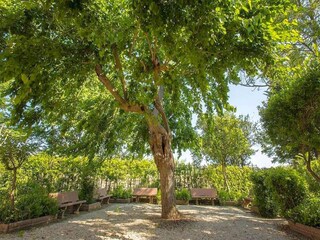 Apartment Donoratico Outdoor Recording 3