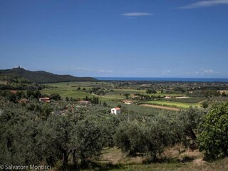 Apartamento Donoratico Entorno 21