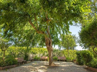 Appartement Donoratico Buitenaudio-opname 6