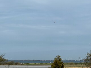 Casa per le vacanze Großenbrode Caratteristiche 20