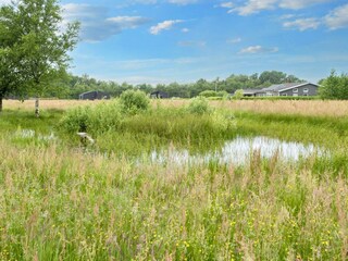 Vakantiehuis Ansager  24