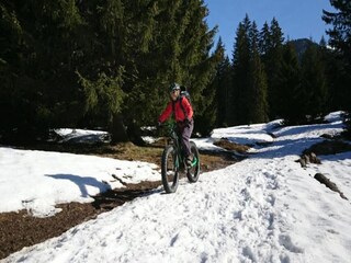 Ferienpark Samoëns Umgebung 22