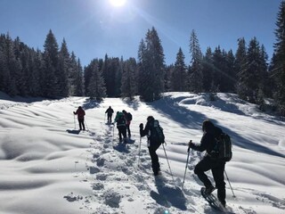 Ferienpark Samoëns Umgebung 28