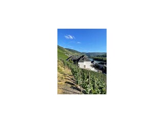 Hausansicht Weinberge