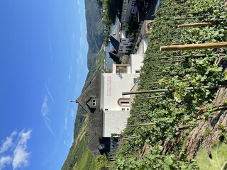 Apartamento Zell Mosel Grabación al aire libre 1