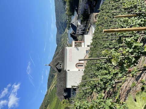 Appartement La vue sur le vignoble