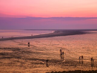 Bed & Breakfast Ternaard Omgeving 14