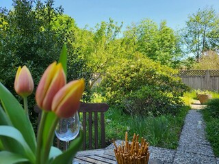 Vakantieappartement St. Peter-Ording Buitenaudio-opname 6