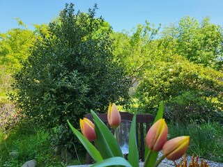 Appartamento per vacanze St. Peter-Ording Registrazione all'aperto 9