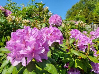 Ferienwohnung St. Peter-Ording Außenaufnahme 14
