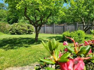 Vakantieappartement St. Peter-Ording Buitenaudio-opname 5