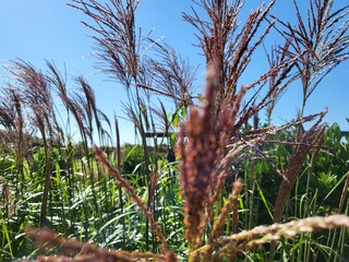 Appartamento per vacanze St. Peter-Ording Registrazione all'aperto 19