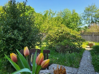 Vakantieappartement St. Peter-Ording Buitenaudio-opname 22