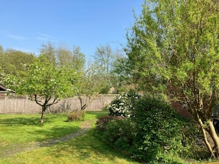 Vakantieappartement St. Peter-Ording Buitenaudio-opname 25