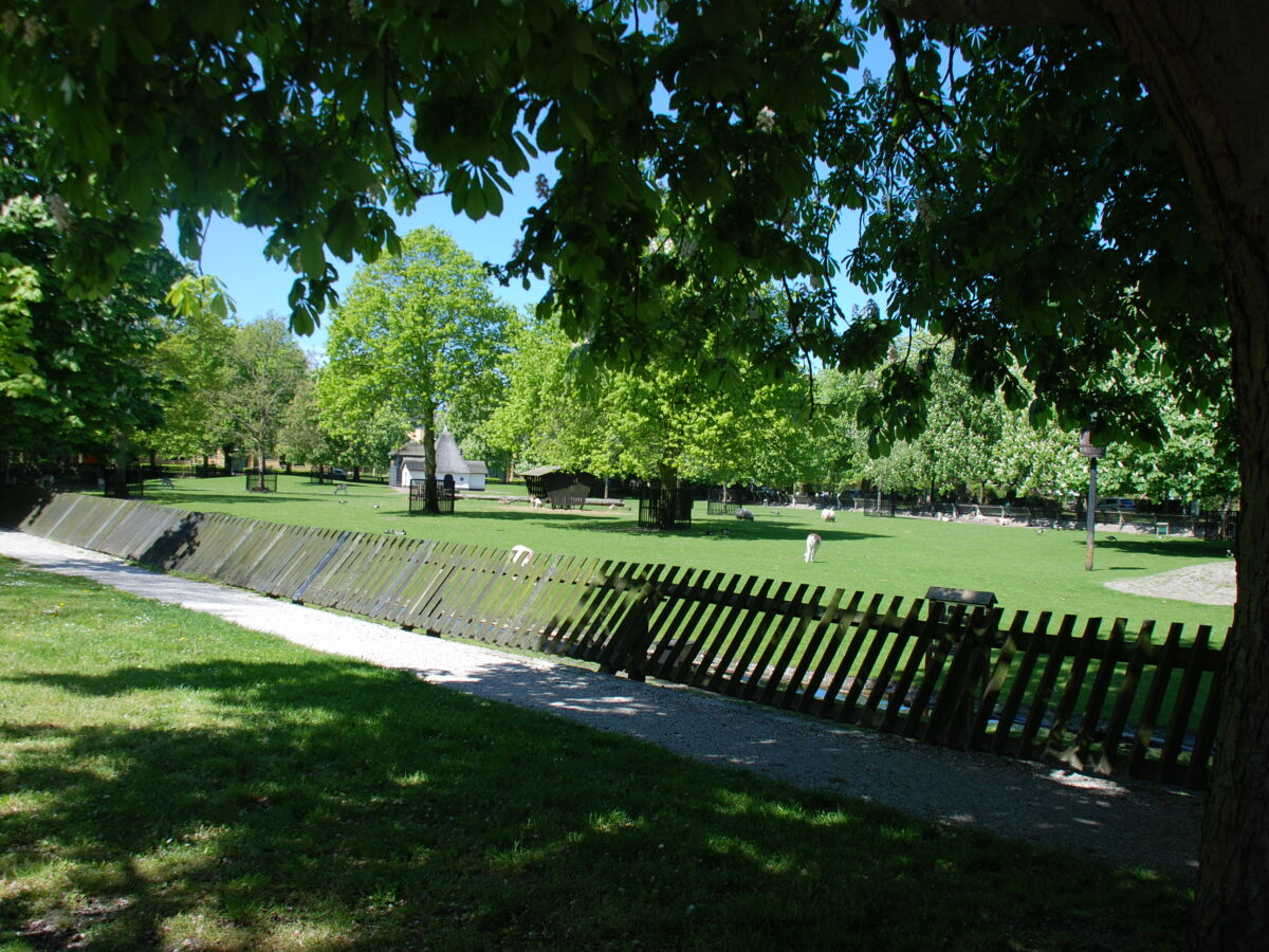 Streichelzoo in Bergen