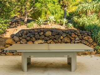 Tenuta Tajuya Caratteristiche 19