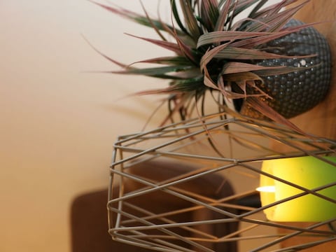 Apartment Natura Aparts