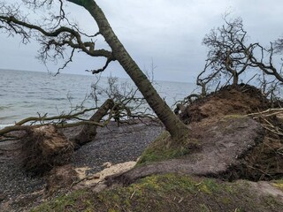 Maison de vacances Bagenkop  35