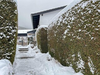 Ferienhaus Olsberg Außenaufnahme 3