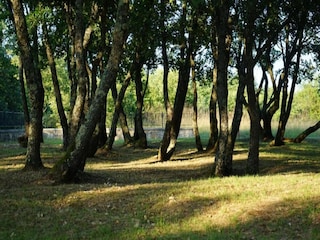 Villa Peroj Environment 33