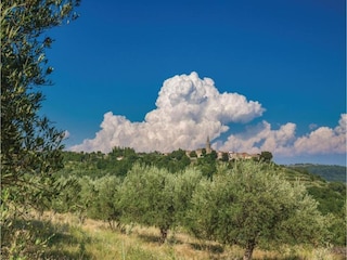 Villa Peroj Environment 30