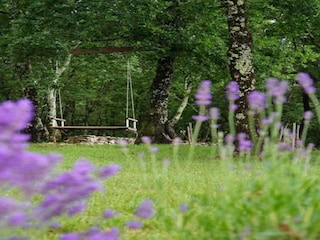 Villa Peroj Environment 39