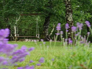 Villa Peroj Environnement 37