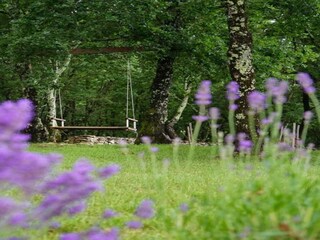 Villa Peroj Ambiente 37