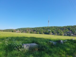 Blick auf die Elbhänge