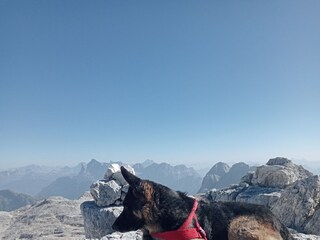 Casa per le vacanze Carano Ambiente 17