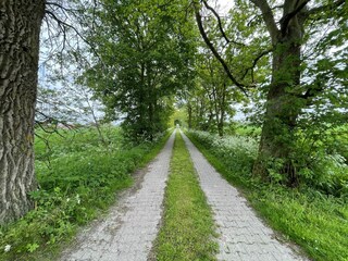 Auffahrt