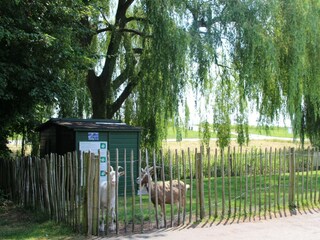 Ferienhaus Moerkapelle  30