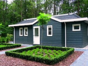 Ferienpark Chalet mit Geschirrspüler, in einem Naturgebiet - Hooghalen - image1