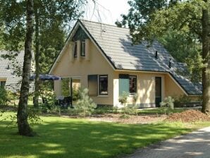 Ferienpark Ferienhaus mit Geschirrspüler im Naturschutzgebiet - Hooghalen - image1