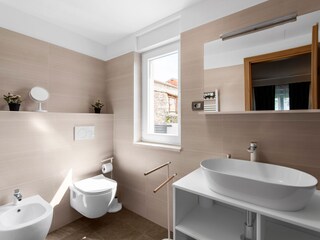 Villa Brtonigla Caratteristiche 15