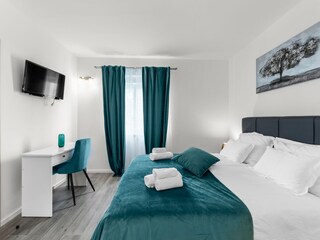 Villa Brtonigla Caratteristiche 17