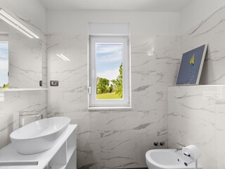 Villa Brtonigla Caratteristiche 20